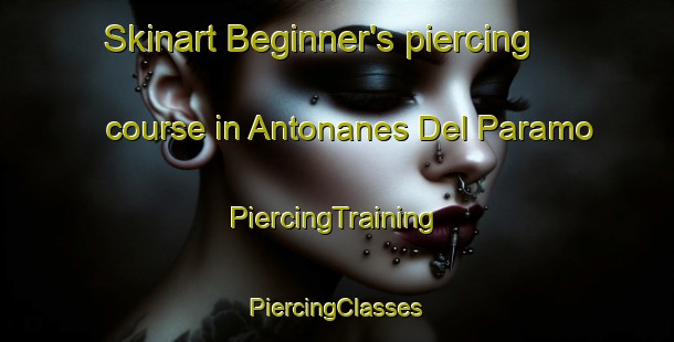 Skinart Beginner's piercing course in Antonanes Del Paramo | #PiercingTraining #PiercingClasses #SkinartTraining-Spain