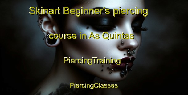 Skinart Beginner's piercing course in As Quintas | #PiercingTraining #PiercingClasses #SkinartTraining-Spain