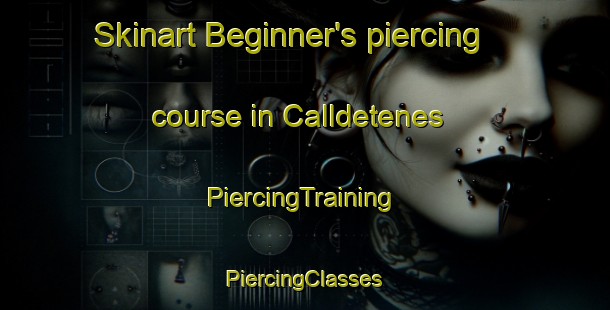 Skinart Beginner's piercing course in Calldetenes | #PiercingTraining #PiercingClasses #SkinartTraining-Spain