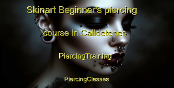 Skinart Beginner's piercing course in Calldetenes | #PiercingTraining #PiercingClasses #SkinartTraining-Spain