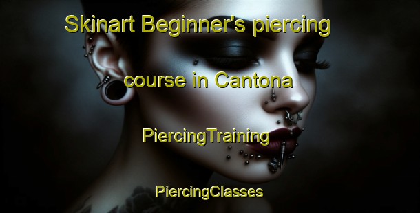 Skinart Beginner's piercing course in Cantona | #PiercingTraining #PiercingClasses #SkinartTraining-Spain