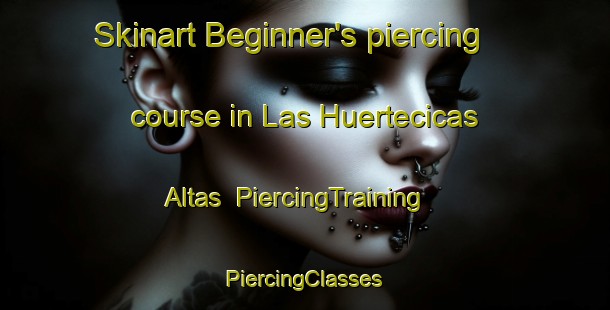 Skinart Beginner's piercing course in Las Huertecicas Altas | #PiercingTraining #PiercingClasses #SkinartTraining-Spain