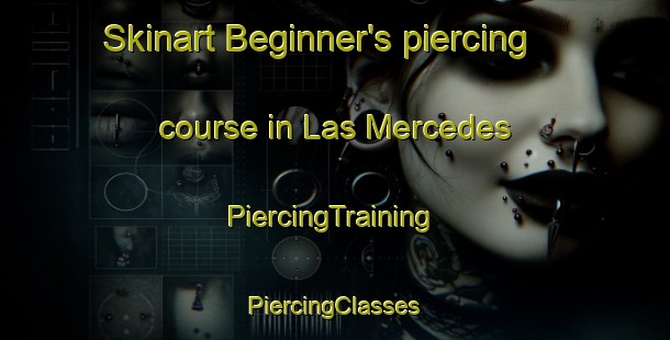 Skinart Beginner's piercing course in Las Mercedes | #PiercingTraining #PiercingClasses #SkinartTraining-Spain