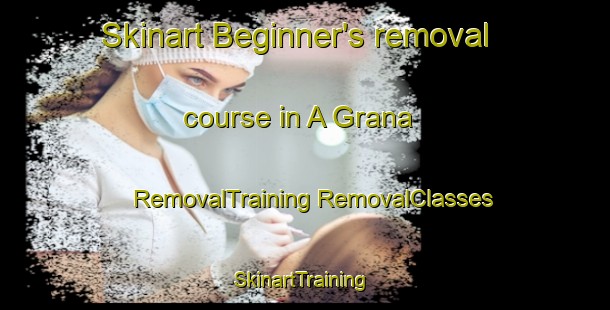 Skinart Beginner's removal course in A Grana | #RemovalTraining #RemovalClasses #SkinartTraining-Spain