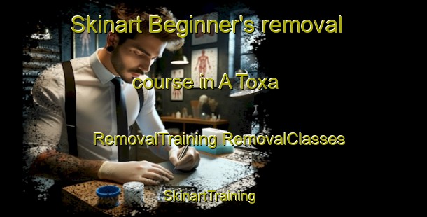 Skinart Beginner's removal course in A Toxa | #RemovalTraining #RemovalClasses #SkinartTraining-Spain