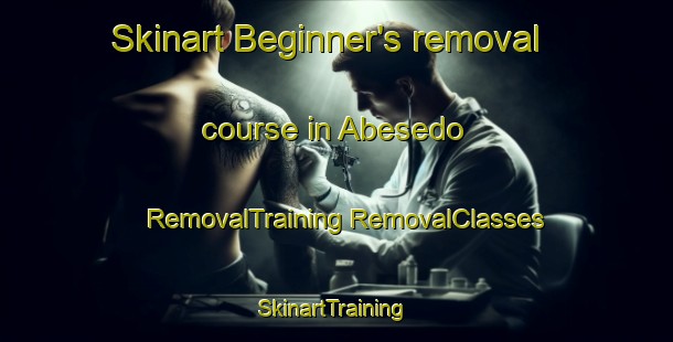 Skinart Beginner's removal course in Abesedo | #RemovalTraining #RemovalClasses #SkinartTraining-Spain