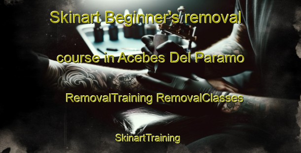 Skinart Beginner's removal course in Acebes Del Paramo | #RemovalTraining #RemovalClasses #SkinartTraining-Spain