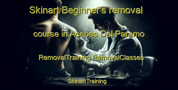 Skinart Beginner's removal course in Acebes Del Paramo | #RemovalTraining #RemovalClasses #SkinartTraining-Spain