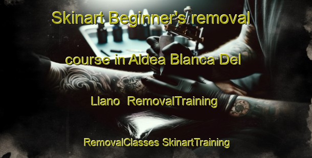 Skinart Beginner's removal course in Aldea Blanca Del Llano | #RemovalTraining #RemovalClasses #SkinartTraining-Spain