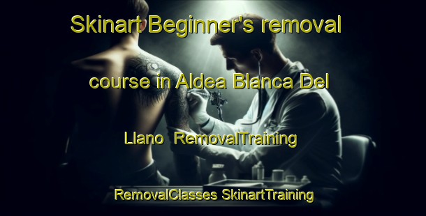 Skinart Beginner's removal course in Aldea Blanca Del Llano | #RemovalTraining #RemovalClasses #SkinartTraining-Spain