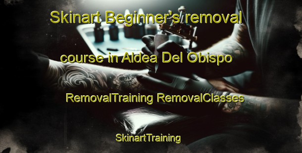 Skinart Beginner's removal course in Aldea Del Obispo | #RemovalTraining #RemovalClasses #SkinartTraining-Spain