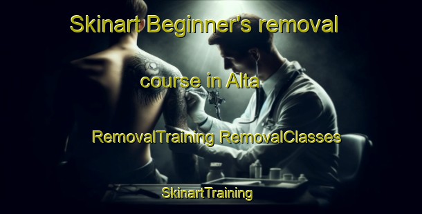 Skinart Beginner's removal course in Alta | #RemovalTraining #RemovalClasses #SkinartTraining-Spain