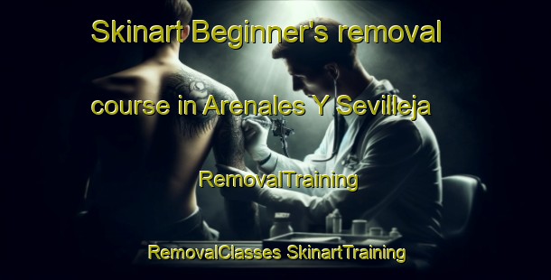 Skinart Beginner's removal course in Arenales Y Sevilleja | #RemovalTraining #RemovalClasses #SkinartTraining-Spain