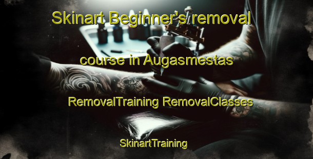 Skinart Beginner's removal course in Augasmestas | #RemovalTraining #RemovalClasses #SkinartTraining-Spain