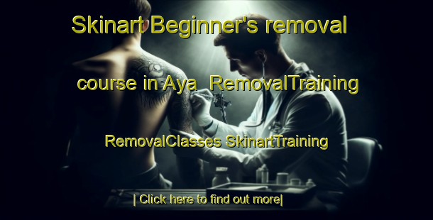 Skinart Beginner's removal course in Aya | #RemovalTraining #RemovalClasses #SkinartTraining-Spain