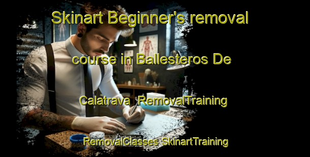 Skinart Beginner's removal course in Ballesteros De Calatrava | #RemovalTraining #RemovalClasses #SkinartTraining-Spain