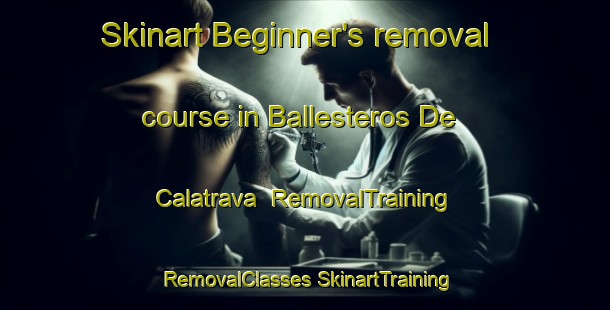 Skinart Beginner's removal course in Ballesteros De Calatrava | #RemovalTraining #RemovalClasses #SkinartTraining-Spain