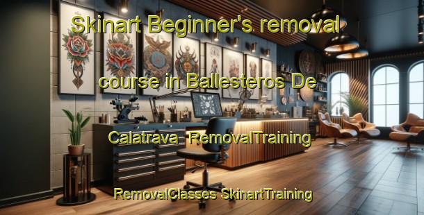 Skinart Beginner's removal course in Ballesteros De Calatrava | #RemovalTraining #RemovalClasses #SkinartTraining-Spain