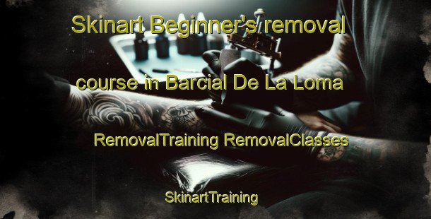 Skinart Beginner's removal course in Barcial De La Loma | #RemovalTraining #RemovalClasses #SkinartTraining-Spain