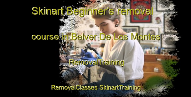 Skinart Beginner's removal course in Belver De Los Montes | #RemovalTraining #RemovalClasses #SkinartTraining-Spain