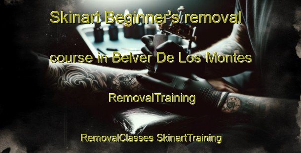 Skinart Beginner's removal course in Belver De Los Montes | #RemovalTraining #RemovalClasses #SkinartTraining-Spain