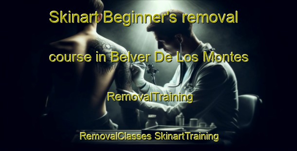 Skinart Beginner's removal course in Belver De Los Montes | #RemovalTraining #RemovalClasses #SkinartTraining-Spain