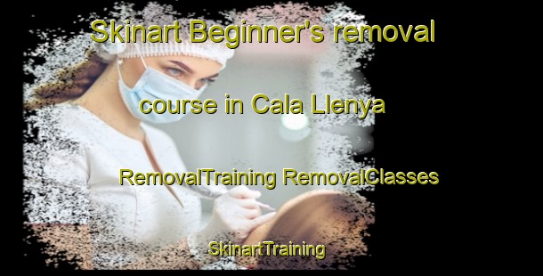 Skinart Beginner's removal course in Cala Llenya | #RemovalTraining #RemovalClasses #SkinartTraining-Spain