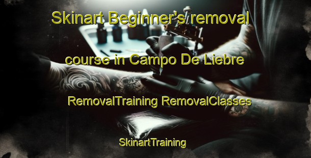 Skinart Beginner's removal course in Campo De Liebre | #RemovalTraining #RemovalClasses #SkinartTraining-Spain