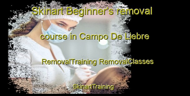 Skinart Beginner's removal course in Campo De Liebre | #RemovalTraining #RemovalClasses #SkinartTraining-Spain