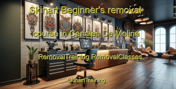 Skinart Beginner's removal course in Canales De Molina | #RemovalTraining #RemovalClasses #SkinartTraining-Spain