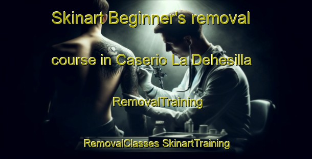 Skinart Beginner's removal course in Caserio La Dehesilla | #RemovalTraining #RemovalClasses #SkinartTraining-Spain