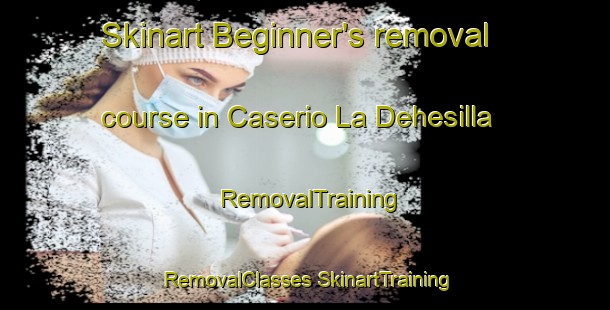 Skinart Beginner's removal course in Caserio La Dehesilla | #RemovalTraining #RemovalClasses #SkinartTraining-Spain