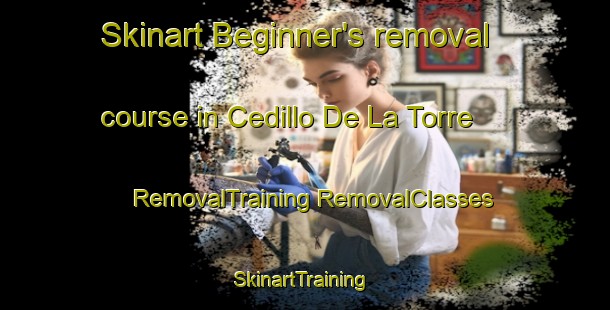 Skinart Beginner's removal course in Cedillo De La Torre | #RemovalTraining #RemovalClasses #SkinartTraining-Spain