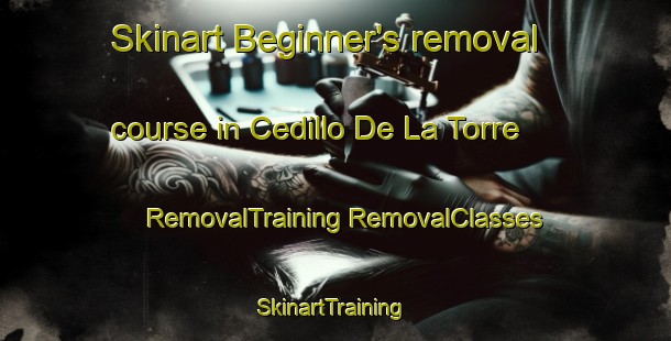 Skinart Beginner's removal course in Cedillo De La Torre | #RemovalTraining #RemovalClasses #SkinartTraining-Spain