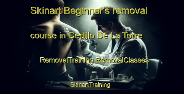 Skinart Beginner's removal course in Cedillo De La Torre | #RemovalTraining #RemovalClasses #SkinartTraining-Spain