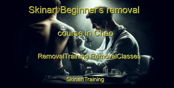 Skinart Beginner's removal course in Chao | #RemovalTraining #RemovalClasses #SkinartTraining-Spain