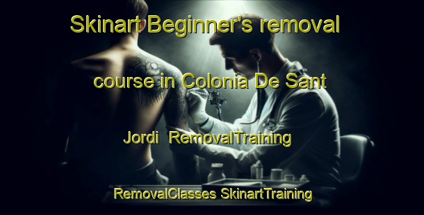 Skinart Beginner's removal course in Colonia De Sant Jordi | #RemovalTraining #RemovalClasses #SkinartTraining-Spain