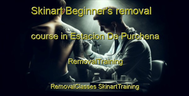 Skinart Beginner's removal course in Estacion De Purchena | #RemovalTraining #RemovalClasses #SkinartTraining-Spain