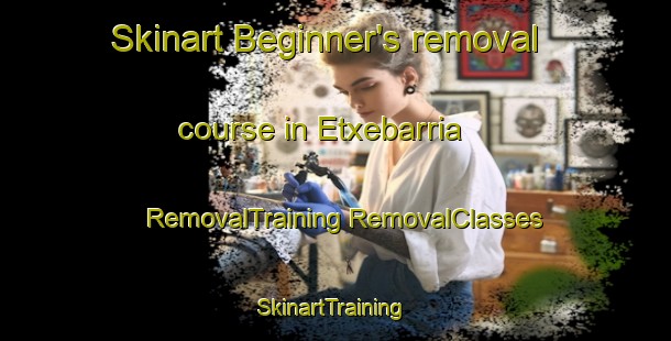 Skinart Beginner's removal course in Etxebarria | #RemovalTraining #RemovalClasses #SkinartTraining-Spain