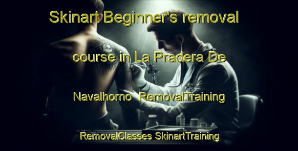 Skinart Beginner's removal course in La Pradera De Navalhorno | #RemovalTraining #RemovalClasses #SkinartTraining-Spain