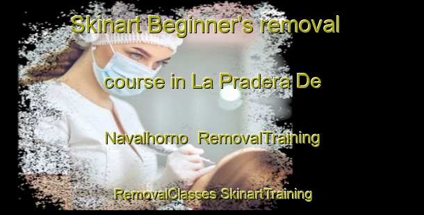 Skinart Beginner's removal course in La Pradera De Navalhorno | #RemovalTraining #RemovalClasses #SkinartTraining-Spain