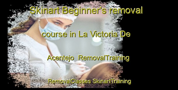 Skinart Beginner's removal course in La Victoria De Acentejo | #RemovalTraining #RemovalClasses #SkinartTraining-Spain