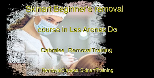 Skinart Beginner's removal course in Las Arenas De Cabrales | #RemovalTraining #RemovalClasses #SkinartTraining-Spain