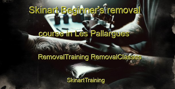 Skinart Beginner's removal course in Les Pallargues | #RemovalTraining #RemovalClasses #SkinartTraining-Spain