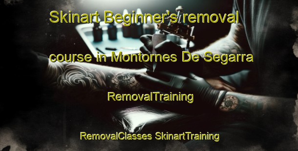 Skinart Beginner's removal course in Montornes De Segarra | #RemovalTraining #RemovalClasses #SkinartTraining-Spain