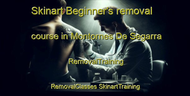 Skinart Beginner's removal course in Montornes De Segarra | #RemovalTraining #RemovalClasses #SkinartTraining-Spain