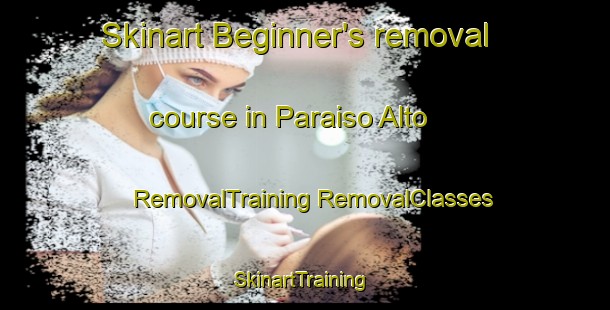 Skinart Beginner's removal course in Paraiso Alto | #RemovalTraining #RemovalClasses #SkinartTraining-Spain