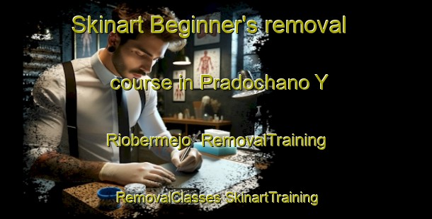 Skinart Beginner's removal course in Pradochano Y Riobermejo | #RemovalTraining #RemovalClasses #SkinartTraining-Spain