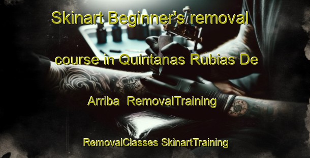 Skinart Beginner's removal course in Quintanas Rubias De Arriba | #RemovalTraining #RemovalClasses #SkinartTraining-Spain