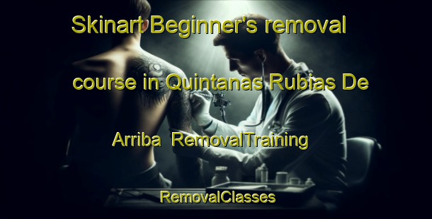 Skinart Beginner's removal course in Quintanas Rubias De Arriba | RemovalTraining | RemovalClasses | SkinartTraining-Spain